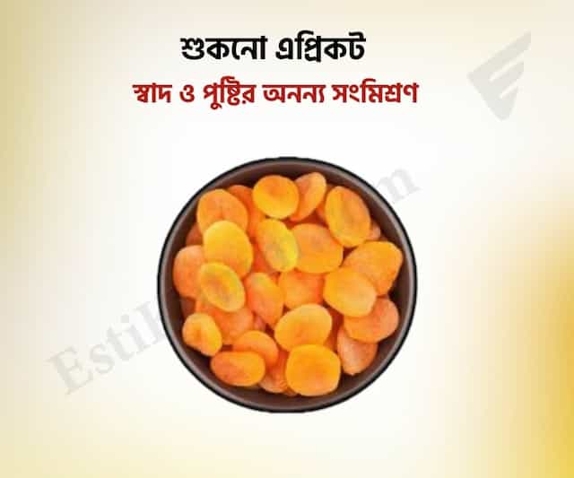 Dry Appricot - এপ্রিকট
