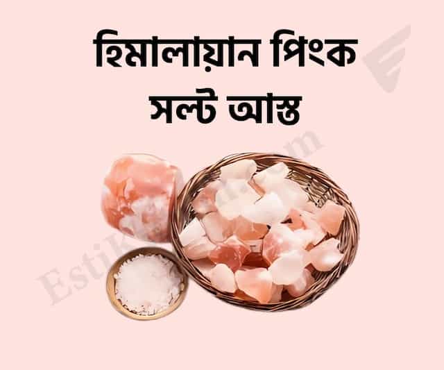Himalayan Pink Salt (stone)