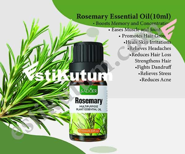 Sadoer Rosemary Multipurpose Plant Essential Oil - 10ml