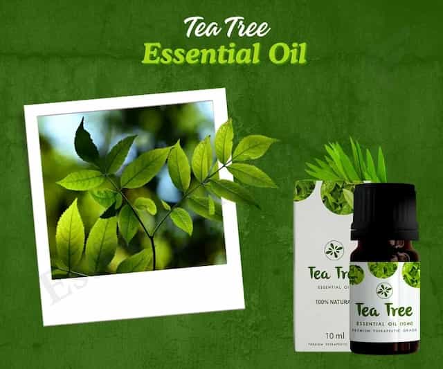 Skin Cafe 100% Natural Essential Oil – Tea Tree – 10ml